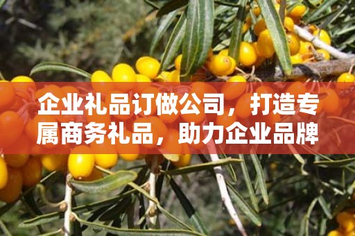 企业礼品订做公司，打造专属商务礼品，助力企业品牌发展