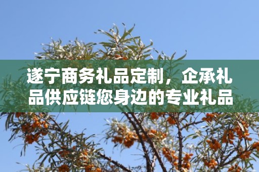 遂宁商务礼品定制，企承礼品供应链您身边的专业礼品定制公司