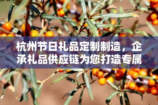 杭州节日礼品定制制造，企承礼品供应链为您打造专属节日惊喜