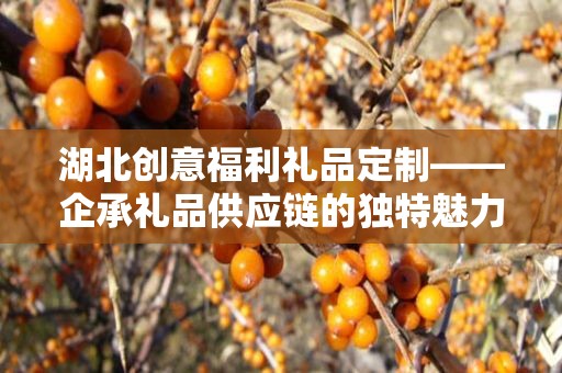 湖北创意福利礼品定制——企承礼品供应链的独特魅力与定制之旅