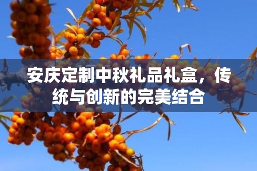 安庆定制中秋礼品礼盒，传统与创新的完美结合