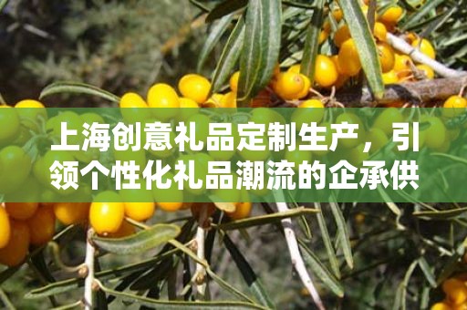 上海创意礼品定制生产，引领个性化礼品潮流的企承供应链