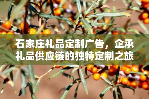 石家庄礼品定制广告，企承礼品供应链的独特定制之旅