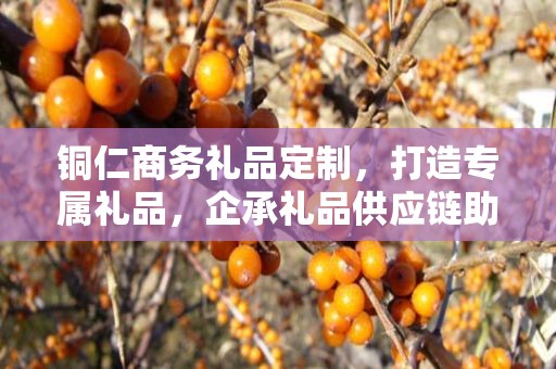 铜仁商务礼品定制，打造专属礼品，企承礼品供应链助力商务往来
