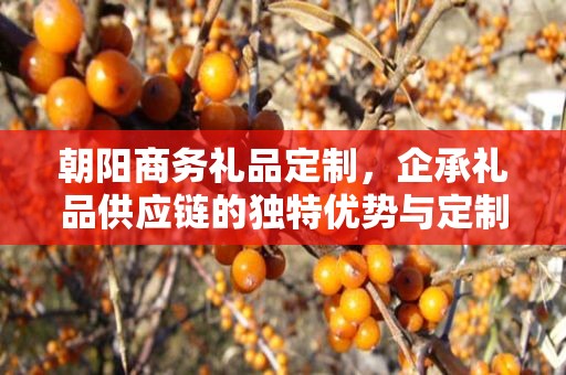 朝阳商务礼品定制，企承礼品供应链的独特优势与定制之旅