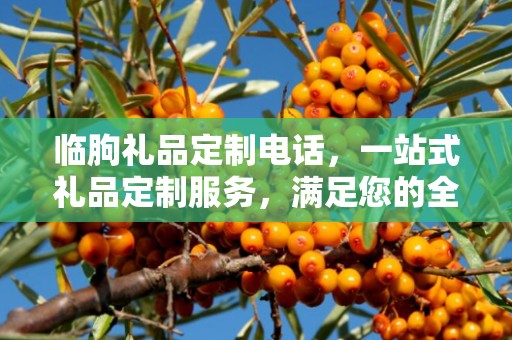临朐礼品定制电话，一站式礼品定制服务，满足您的全方位需求