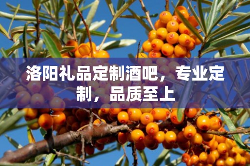 洛阳礼品定制酒吧，专业定制，品质至上