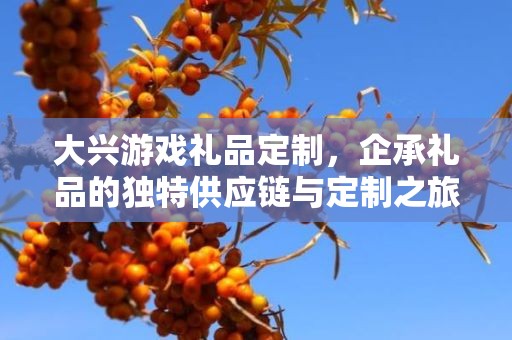 大兴游戏礼品定制，企承礼品的独特供应链与定制之旅