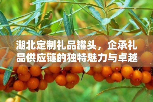 湖北定制礼品罐头，企承礼品供应链的独特魅力与卓越品质