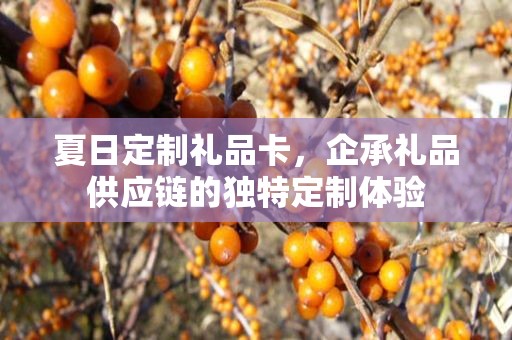 夏日定制礼品卡，企承礼品供应链的独特定制体验