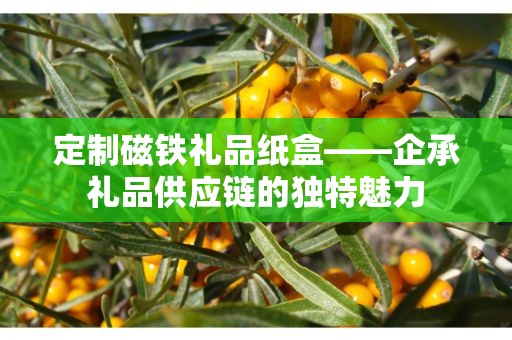 定制磁铁礼品纸盒——企承礼品供应链的独特魅力