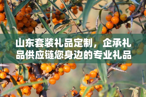 山东套装礼品定制，企承礼品供应链您身边的专业礼品定制公司