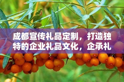 成都宣传礼品定制，打造独特的企业礼品文化，企承礼品供应链助力商务礼品定制之旅