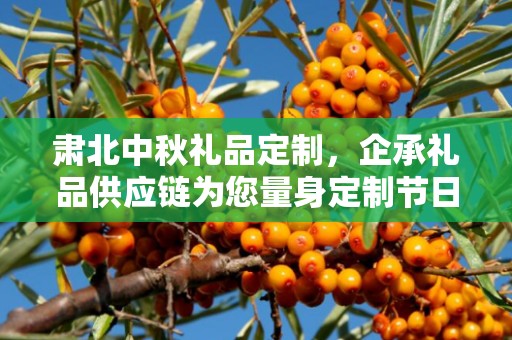 肃北中秋礼品定制，企承礼品供应链为您量身定制节日惊喜