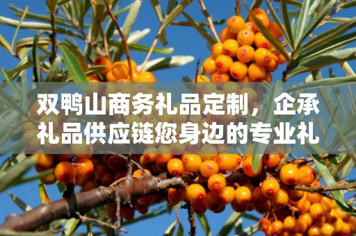 双鸭山商务礼品定制，企承礼品供应链您身边的专业礼品定制公司