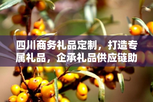 四川商务礼品定制，打造专属礼品，企承礼品供应链助力商务往来
