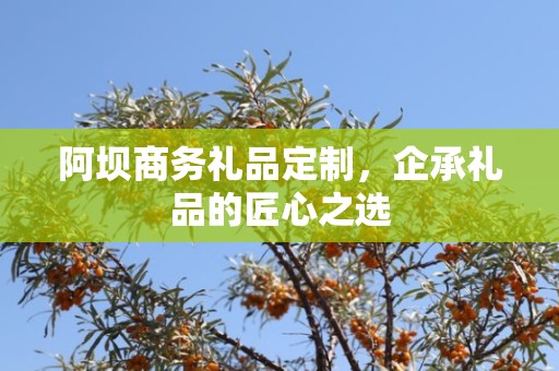 阿坝商务礼品定制，企承礼品的匠心之选