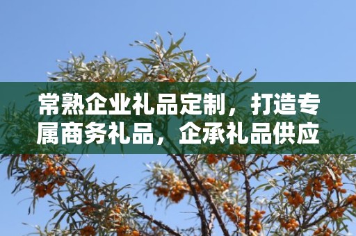 常熟企业礼品定制，打造专属商务礼品，企承礼品供应链助力企业品牌建设