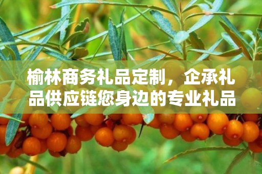榆林商务礼品定制，企承礼品供应链您身边的专业礼品定制公司