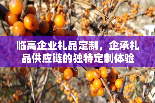 临高企业礼品定制，企承礼品供应链的独特定制体验