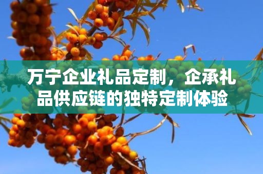 万宁企业礼品定制，企承礼品供应链的独特定制体验