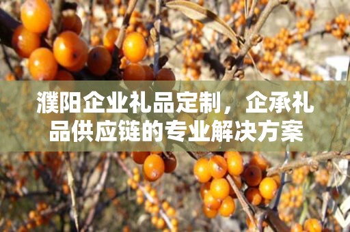 濮阳企业礼品定制，企承礼品供应链的专业解决方案