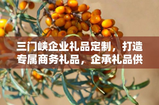 三门峡企业礼品定制，打造专属商务礼品，企承礼品供应链助力企业发展