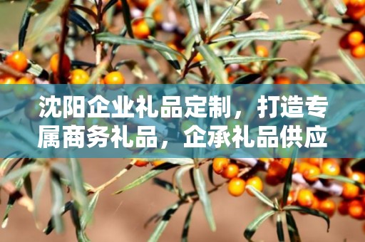 沈阳企业礼品定制，打造专属商务礼品，企承礼品供应链助力企业发展