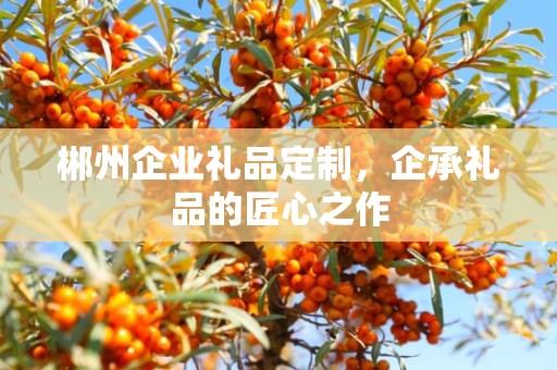 郴州企业礼品定制，企承礼品的匠心之作