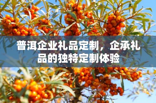 普洱企业礼品定制，企承礼品的独特定制体验