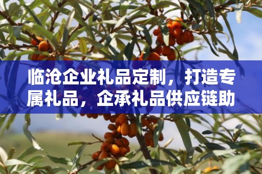 临沧企业礼品定制，打造专属礼品，企承礼品供应链助力企业发展