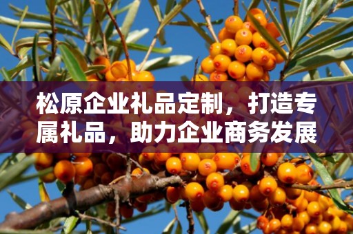 松原企业礼品定制，打造专属礼品，助力企业商务发展