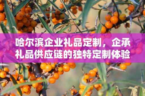 哈尔滨企业礼品定制，企承礼品供应链的独特定制体验