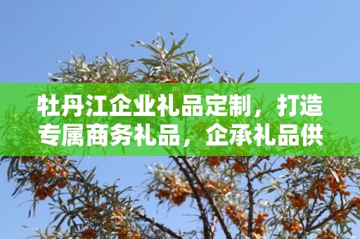 牡丹江企业礼品定制，打造专属商务礼品，企承礼品供应链助力您的选择