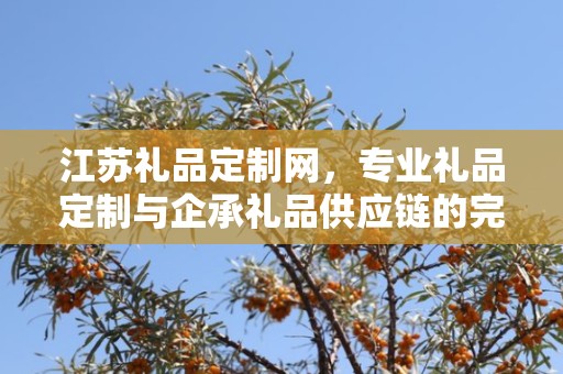 江苏礼品定制网，专业礼品定制与企承礼品供应链的完美结合