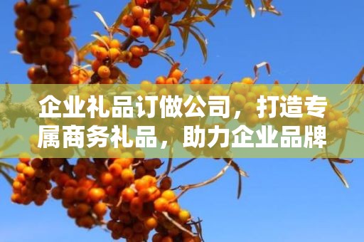 企业礼品订做公司，打造专属商务礼品，助力企业品牌发展