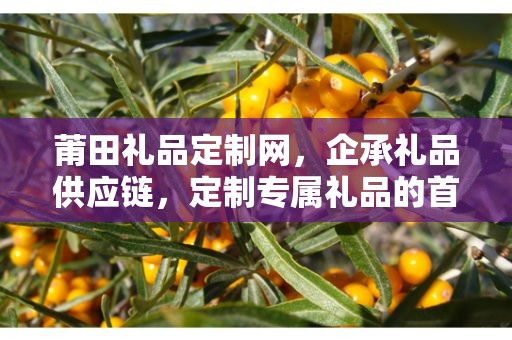 莆田礼品定制网，企承礼品供应链，定制专属礼品的首选平台