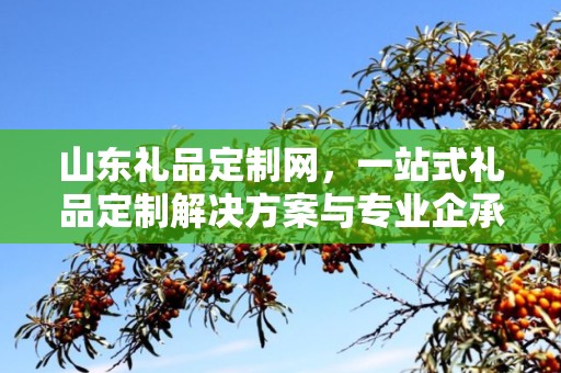 山东礼品定制网，一站式礼品定制解决方案与专业企承礼品供应链