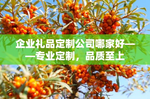 企业礼品定制公司哪家好——专业定制，品质至上