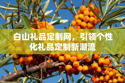白山礼品定制网，引领个性化礼品定制新潮流