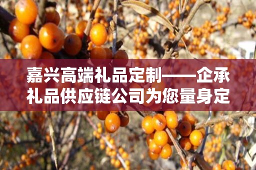 嘉兴高端礼品定制——企承礼品供应链公司为您量身定制尊贵之选