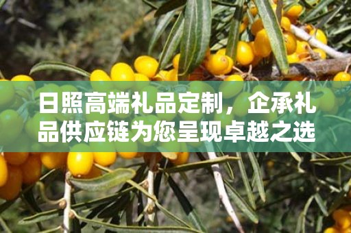 日照高端礼品定制，企承礼品供应链为您呈现卓越之选
