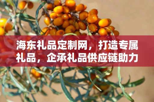 海东礼品定制网，打造专属礼品，企承礼品供应链助力商务发展