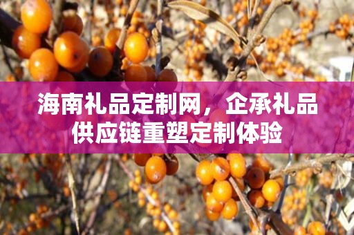 海南礼品定制网，企承礼品供应链重塑定制体验