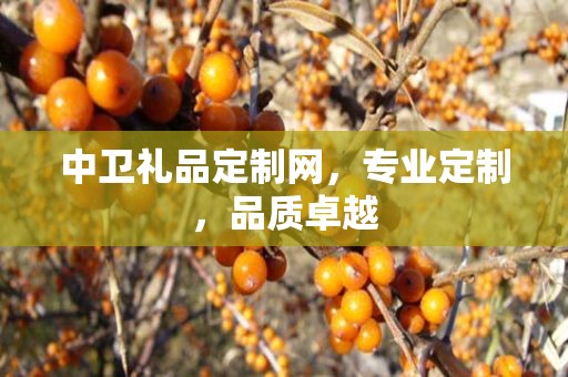 中卫礼品定制网，专业定制，品质卓越