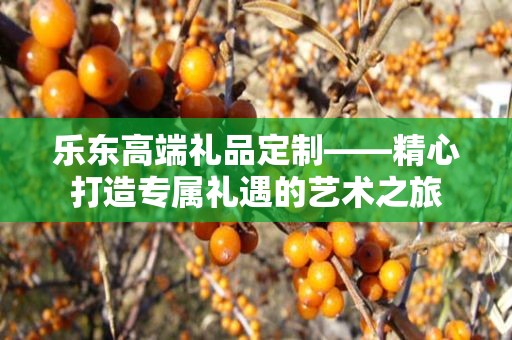 乐东高端礼品定制——精心打造专属礼遇的艺术之旅