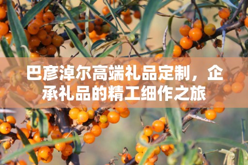 巴彦淖尔高端礼品定制，企承礼品的精工细作之旅