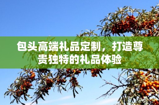 包头高端礼品定制，打造尊贵独特的礼品体验