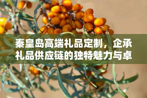 秦皇岛高端礼品定制，企承礼品供应链的独特魅力与卓越服务