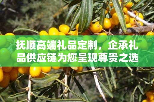 抚顺高端礼品定制，企承礼品供应链为您呈现尊贵之选
